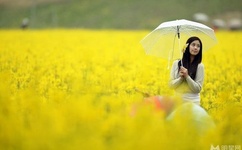 FREE性满足VIDEOSHD